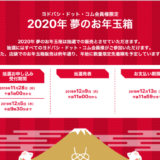 ヨドバシカメラ 2020年福袋 夢のお年玉箱 受付開始！2019年と比較して中身を予想致します。