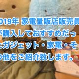 2019年 家電量販店販売員 が購入しておすすめだったガジェット・家電・その他をご紹介致します。