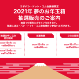 ヨドバシカメラ 2021年福袋 夢のお年玉箱 受付開始！2020年と比較して中身を予想致します。追記：12月6日最終の倍率を追加！