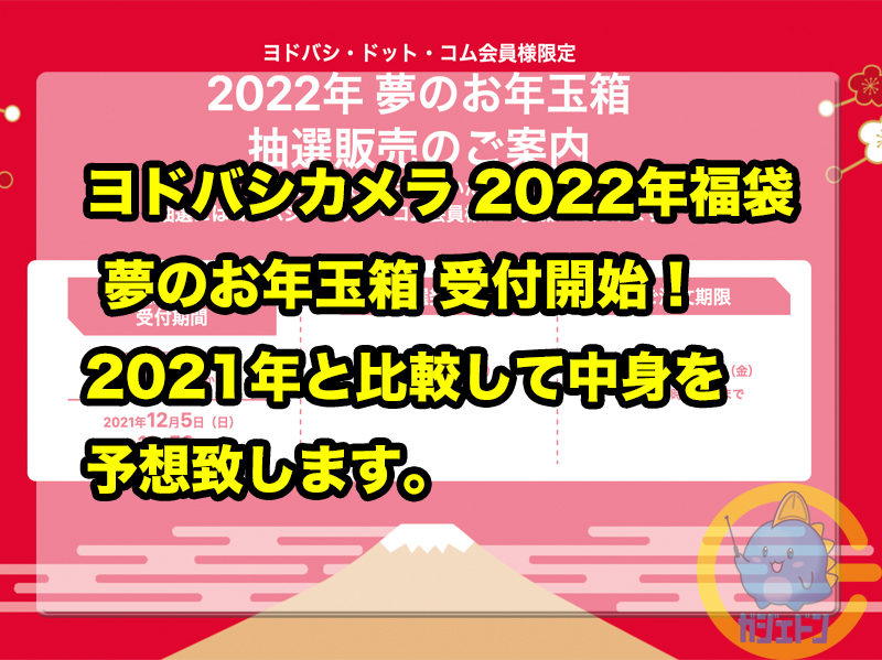10%クーポン ヨドバシ　福袋　2022年　夢のお年玉箱　サーフェスGoの夢 ノートPC