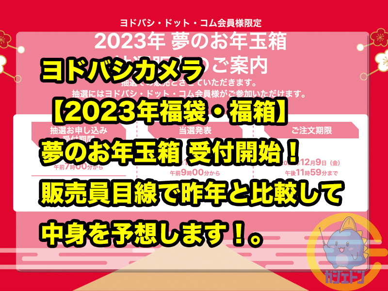 ヨドバシカメラ 夢のお年玉箱 福袋 2021 アイパッドの夢 ipad 10.5